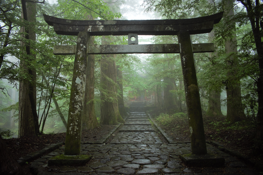 ประตูศาลเจ้าโทริอิชินโตของญี่ปุ่นในป่านิกโกญี่ปุ่น